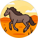 Zuza Figas profile picture